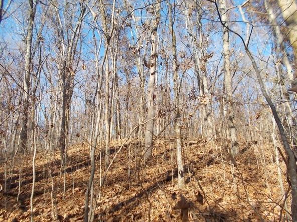 414 Doane Rd, New Market, TN 37820